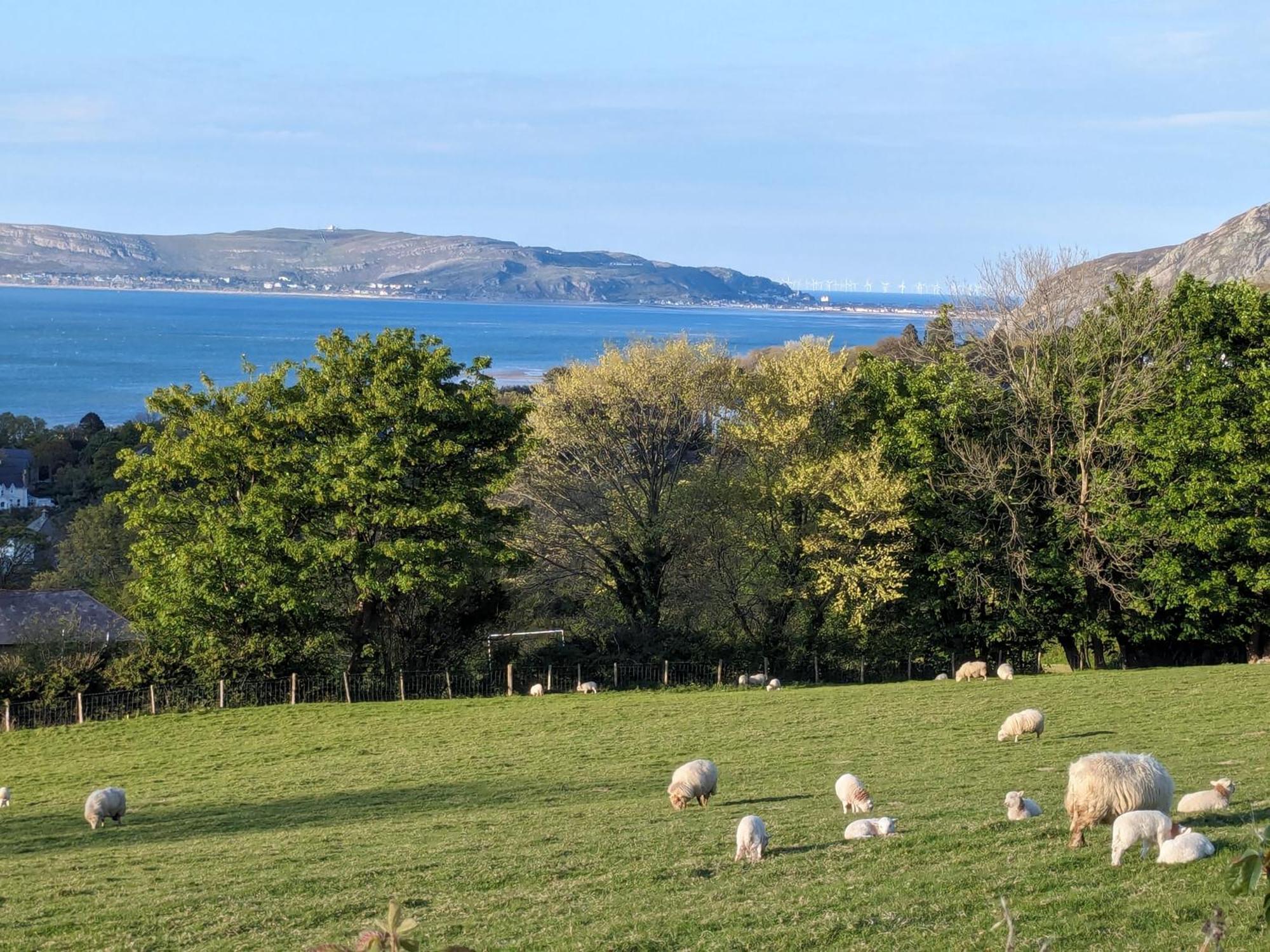 Fantastic Sea Views At Century'S Old Alma'S Cottage - Sleeps Up To 8 Guests Penmaen-mawr Екстериор снимка